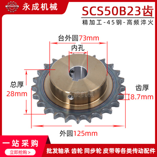 SCS高品质成型孔链轮5分50B 10A23T外径125精车内孔键槽顶丝 23齿