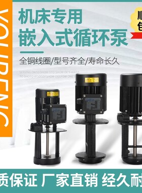 洛凯水泵Rocoi 睿嘉LuiKar 线切割水泵 机床油泵车床冷却循环电泵