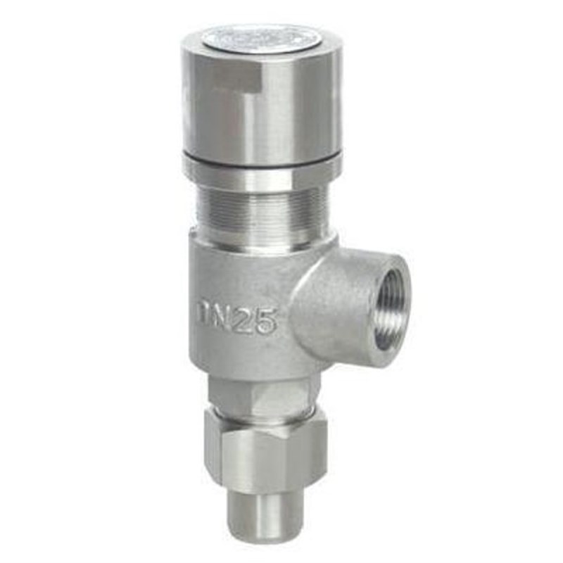 A21W F Y-16P/25P 304不锈钢弹簧微启式安全阀 A21H-16C/40C DN15