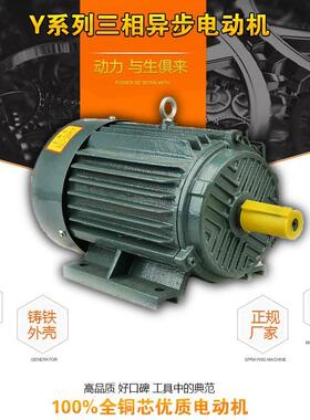 YE2YE3Y2Y三相电机三相电动机7.5W--45W/2极/4极/6极