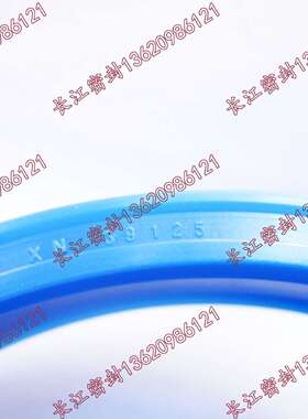 ni300 77-87-12 德国 SIMRTI油封CFW M MFF XN39125 N