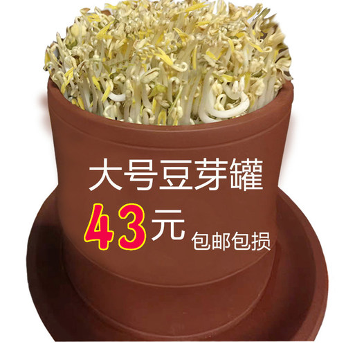 土陶紫砂c豆芽罐发豆芽盆家用生豆芽大容量发黄绿豆芽神器全自动