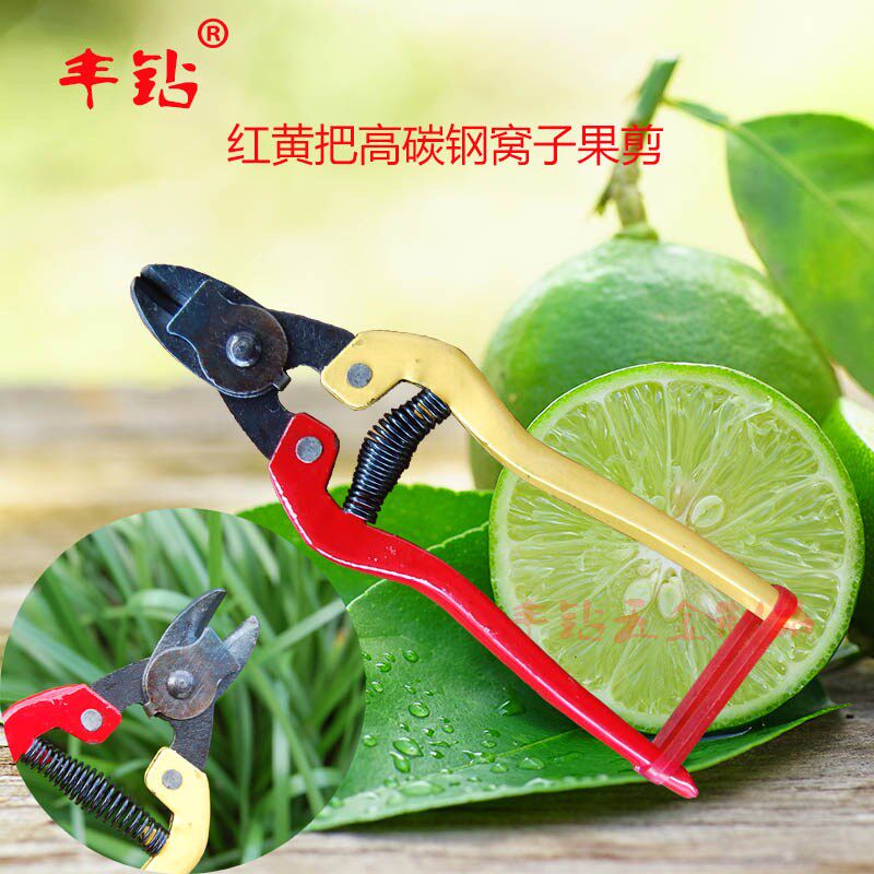 铁把精钢窝子f摘果剪橙子柑橘剪 柑桔采摘剪采果剪翘口 翘头果子