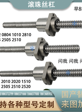 滚珠丝杠丝杆BSSR/BSSRK1002 0804 1010 2810 1205 2505 2510