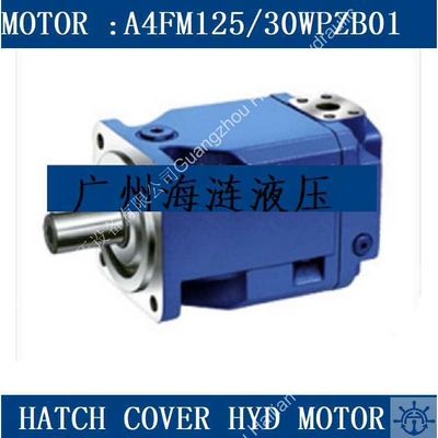 A4FM125/30WPZB01舱液压马达hyd motor luffing crane macgregor
