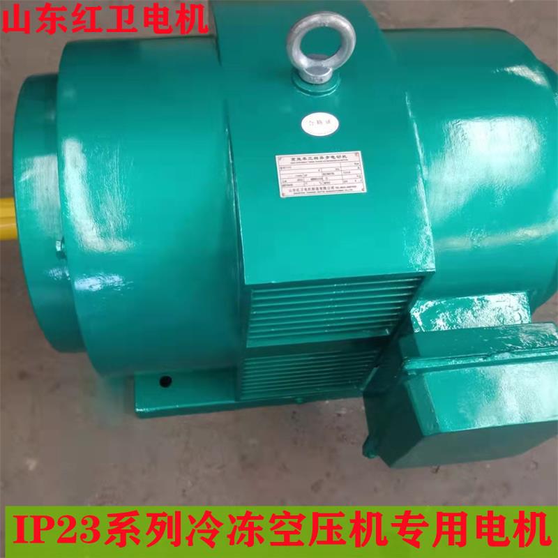 山东厂家直供Y315M2-2/200W冷冻空压机专用三相异步电动机