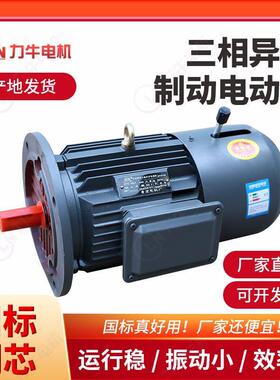 制动三相异步电动机刹车电机YE2YE3系列电磁制动三相异步电机机械