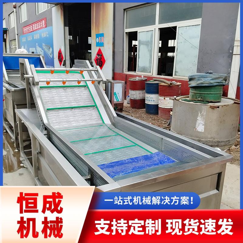 多种蔬菜水果药材大型喷淋清洗流水线大姜小龙虾高压喷淋清洗机