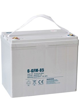 电动叉车恒益即车中力EPT20-15ET小金刚电瓶蓄电池6-GFM-85Ah