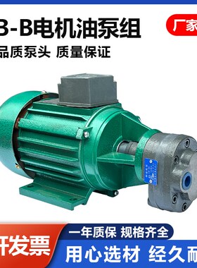 CB-B2.5/B4/B6/B10/0.37KW/0.55KW立卧式齿轮泵电机油泵组