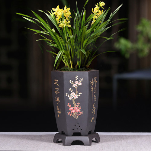 宜兴紫砂兰花专用盆陶瓷客厅六方君子兰花盆家用大盆景盆带托盘