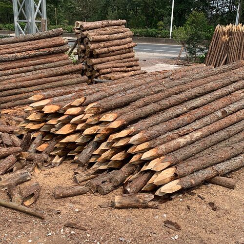 松木桩防汛木桩工地河道打桩木河堤防洪防汛N土建工程绿化支撑木