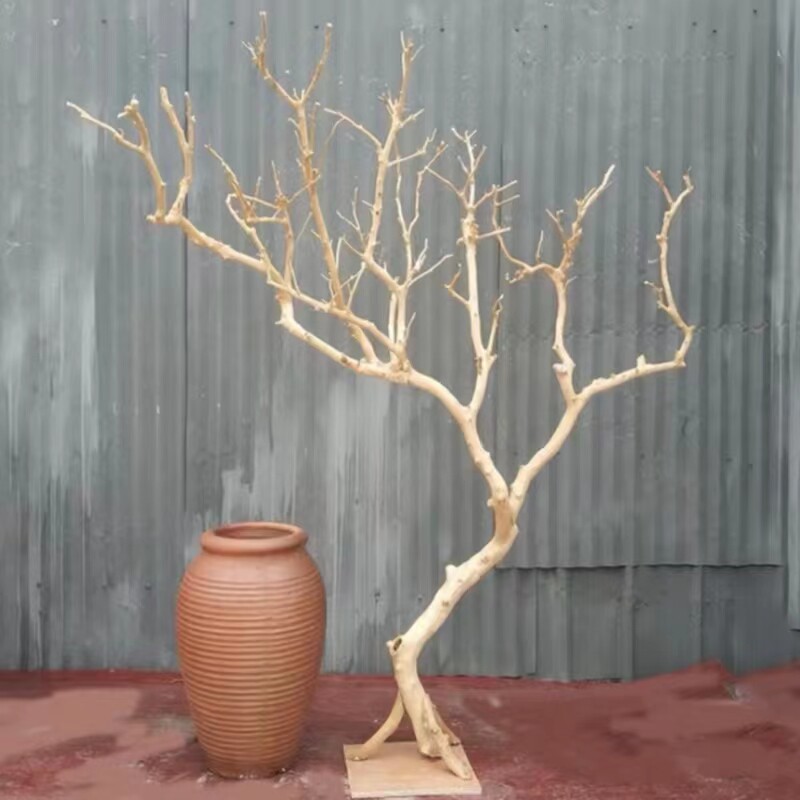 干树枝造景干枝树干许愿树枯y树室内庭院造型树枝干原木树枝装饰