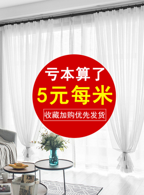 2021年新款绣j花纱薄纱白纱窗帘纱帘窗纱阳台遮光白色布透明透光