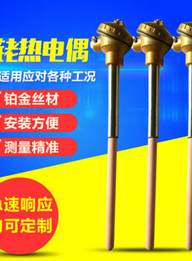 S型铂铑热电偶E型压簧螺钉Pt100热电阻温度传感器K型铠装热电偶