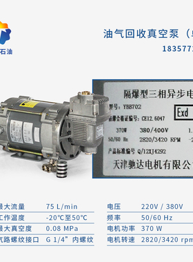 油气回收真空泵380V220V天津驰达防爆电机DURR杜尔真空泵加油机泵