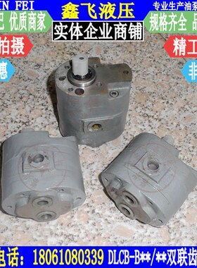 DLCB-B2.5/2.5双联泵CB低压双联齿轮油泵 两进两出供油润滑泵
