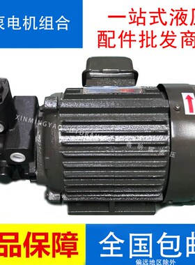 液压油泵电机组VP20+0.75KW1.5液压泵总成内轴电机液压站配件系统