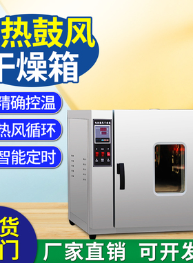 电热鼓风干燥箱可观察器皿双门恒温烘干箱实验室工业高温烘烤箱