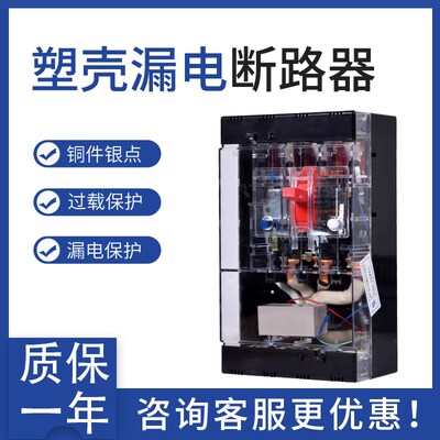 厂家直销DZ25L-200/4300 63A 100A 160A 200A 250A 漏电断路器 4P