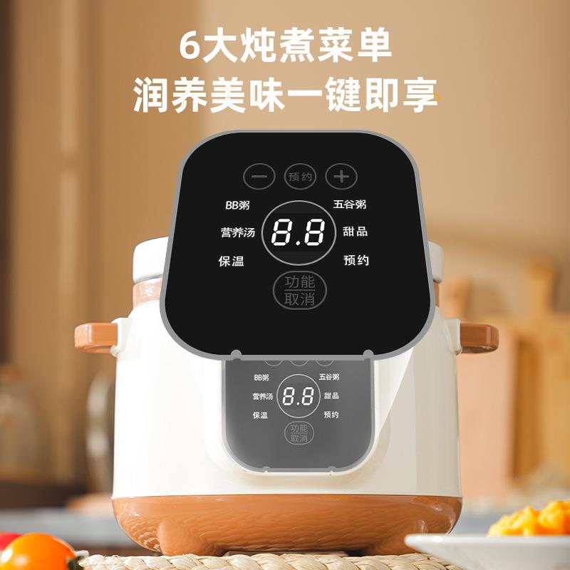 家用养生电炖锅煮粥煲汤锅迷你多功能陶瓷小炖锅预约定时炖电盅