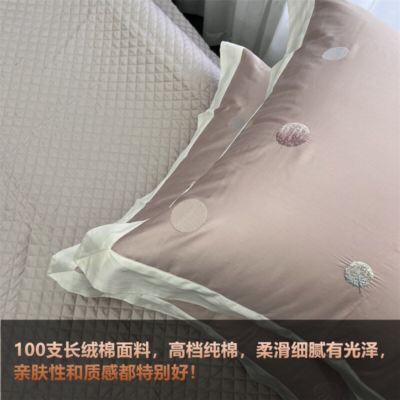 精品靠垫枕套100支长绒棉刺绣床品D绣花简约靠背抱枕60*60一对