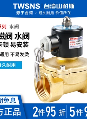 电磁开关阀水管电控水阀220v常闭型12v电动气阀常开24v汽车淋水器