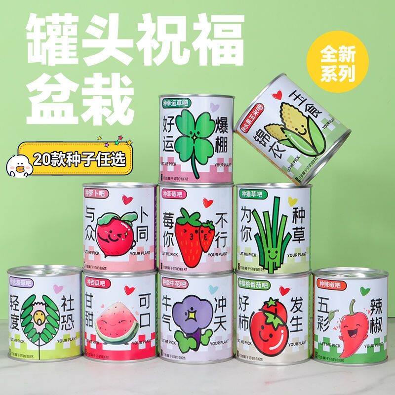 diy盆栽礼品礼物小型办公室迷你植物青草罐头种植草头娃娃桌面