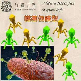 噬菌体结构模型 3D打印 生物学 学生用品 科普科教教具 教学器材