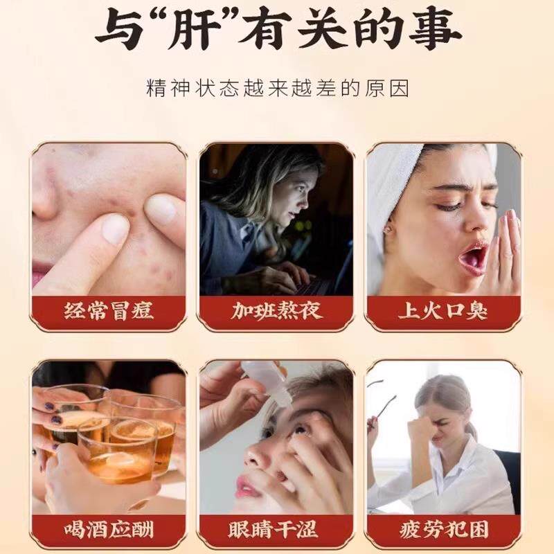 同仁西洋黄CEL芪菊护养肝枸杞决明子蒲花公英堂养参生茶熬夜明目z