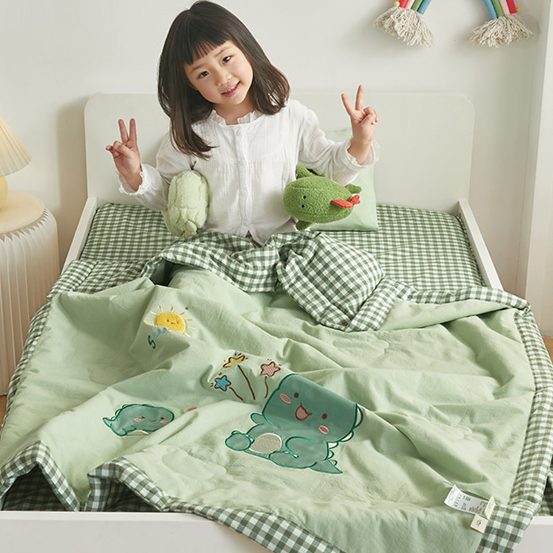 全棉水洗棉儿童幼儿园宝宝夏凉被F空调被婴儿夏被夏季被子薄款
