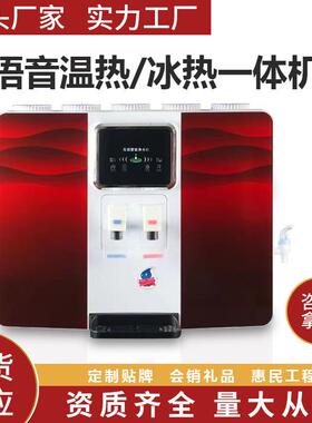 农村智能语音加热一体机厨房家用直饮RO净水器惠民会销净水机