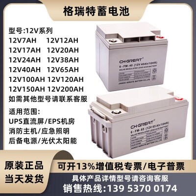 格瑞特蓄电池6-FM-12V7A12A20A24A38A40A55A65A100A120AH 直流屏