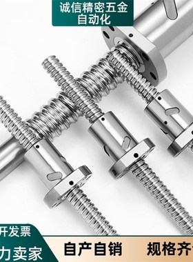 LCP02压轧03滚珠丝杠02-16-5-10-32-L500/300/200/750/07/08