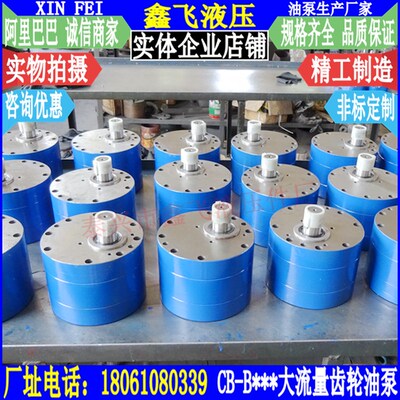 TXCB-B160 TXCB-B200 TXCB-B250 TXCB-B300大流量斜齿轮油泵液压