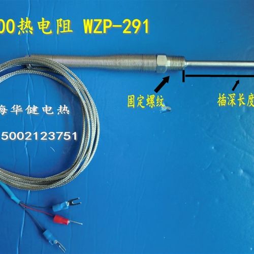 WZP-291 Pt100进口铂热电阻 Pt100铂电阻感温 德国贺利氏pt100