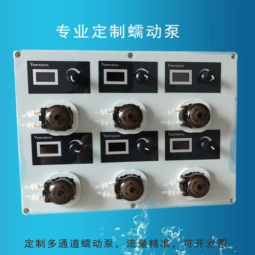 定制多通道多头蠕动泵可调速定时定量微型蠕动泵滴定自吸泵灌装机