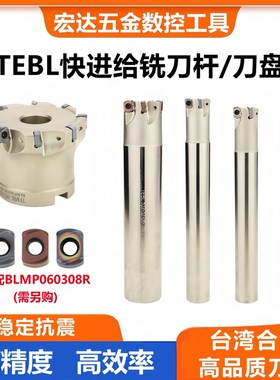 TEBL06快进给双面铣刀杆特固克BLMP0603R刀片数控开粗面铣刀盘