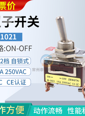E-TEN拨杆摇头H 1021钮子开关2脚2档拨动12mm纽子摇臂电源单控CCC