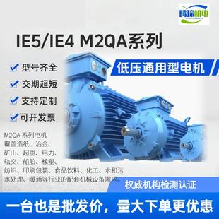 H71 B35 15w H250 电机M2QA系列IE4 IE50.18