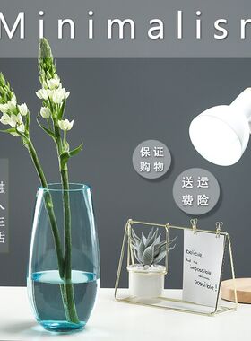 恐龙蛋花器 欧式玻璃彩色花瓶花插透明 客L厅餐桌装饰品工艺品摆