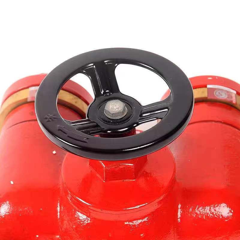 SQD100-1.6多功能水泵接合器 新型水泵结合器闽山消防水泵结合器