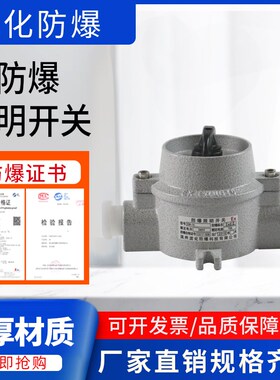 SW10单控双控防爆照明开关 AC380/220V防水防尘防爆控制转换开关