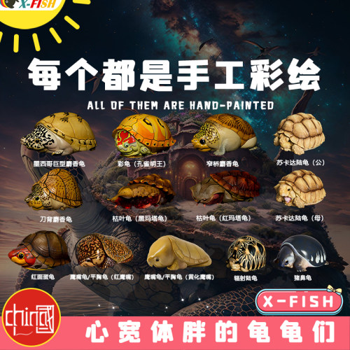 龟缸造景鱼缸水族箱摆件微景观装饰晒台躲避屋动物星球心宽体胖
