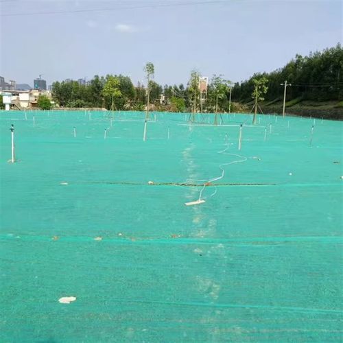 绿化无纺布绿色膜园林工地防尘网盖土布护K坡草坪植草籽无纺布整