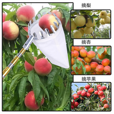高空不锈钢 采摘神器o新款多功能摘果器摘枇杷芒神器 割香椿槐花