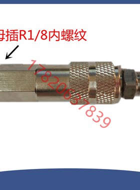 油泵加油嘴一分内螺纹手动加油枪SJB-50Z母头插油嘴快插接头