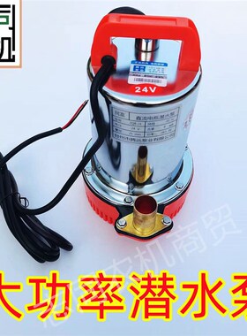 小型高扬程直流潜水泵12V24V48V60V电瓶电动车品字头抽水机抽水泵