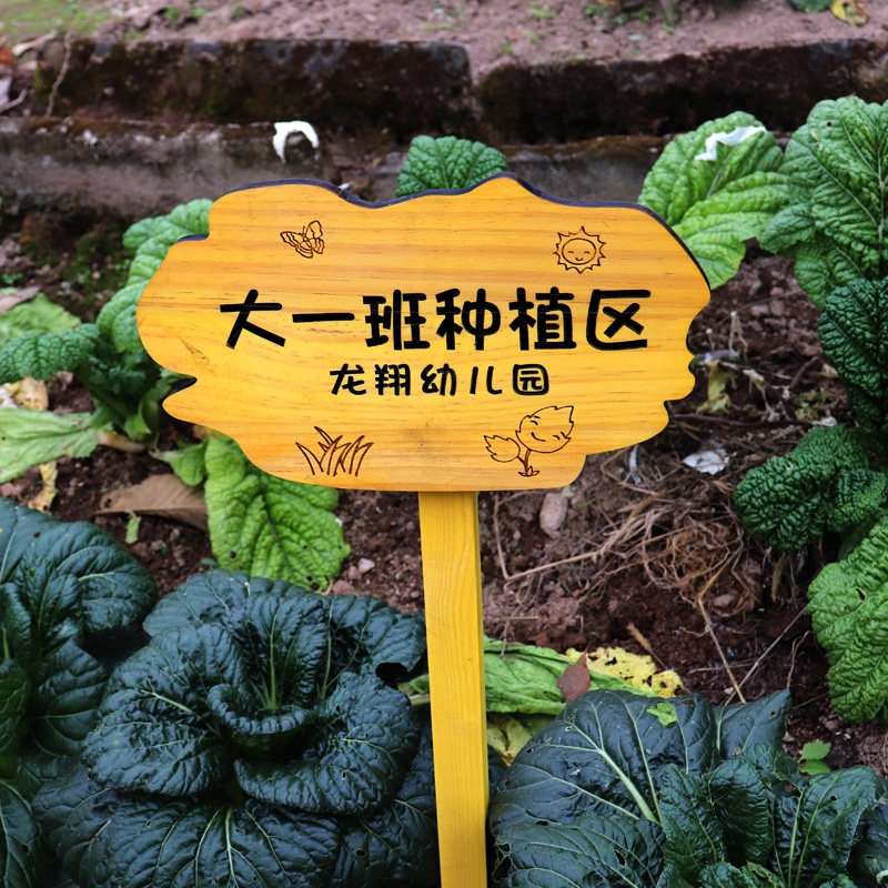 实木菜地花草植物插地牌户外木质警示F标识牌幼儿园菜园种植区插图片