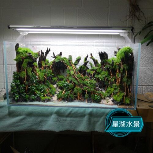 鱼缸造景一体拼接骨架森林造t景30方缸造景35方缸造景60缸以下定